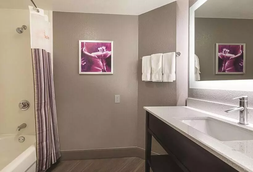 ２ダブルベッドのスタンダードルーム, La Quinta By Wyndham Dallas Plano West