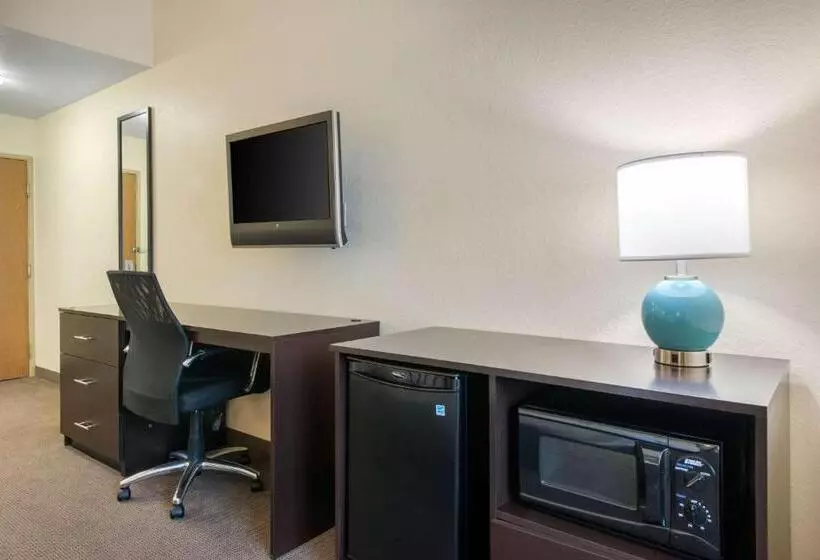 キングサイズベッドのスタンダードルーム, Sleep Inn & Suites Port Charlottepunta Gorda