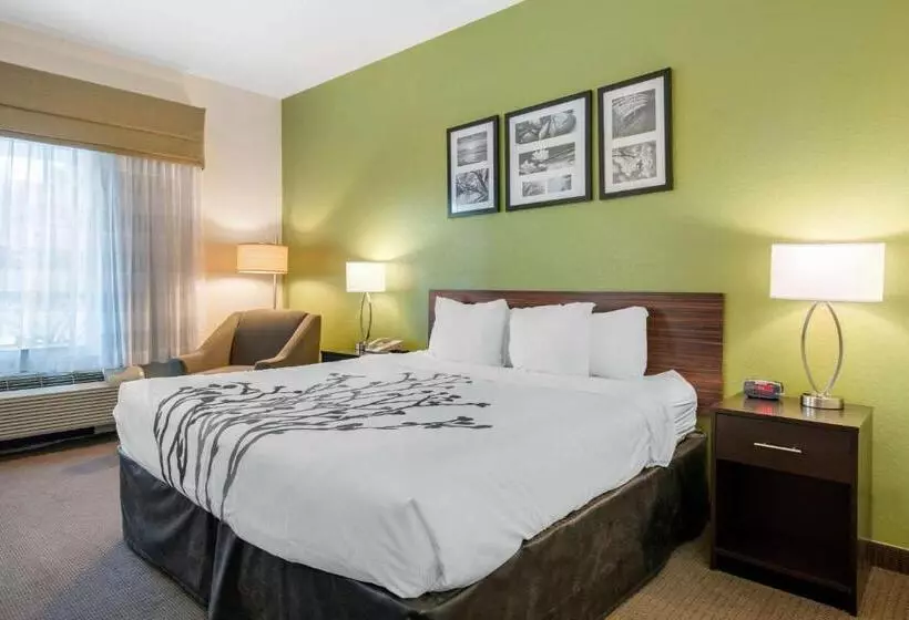キングサイズベッドのスタンダードルーム, Sleep Inn & Suites Port Charlottepunta Gorda