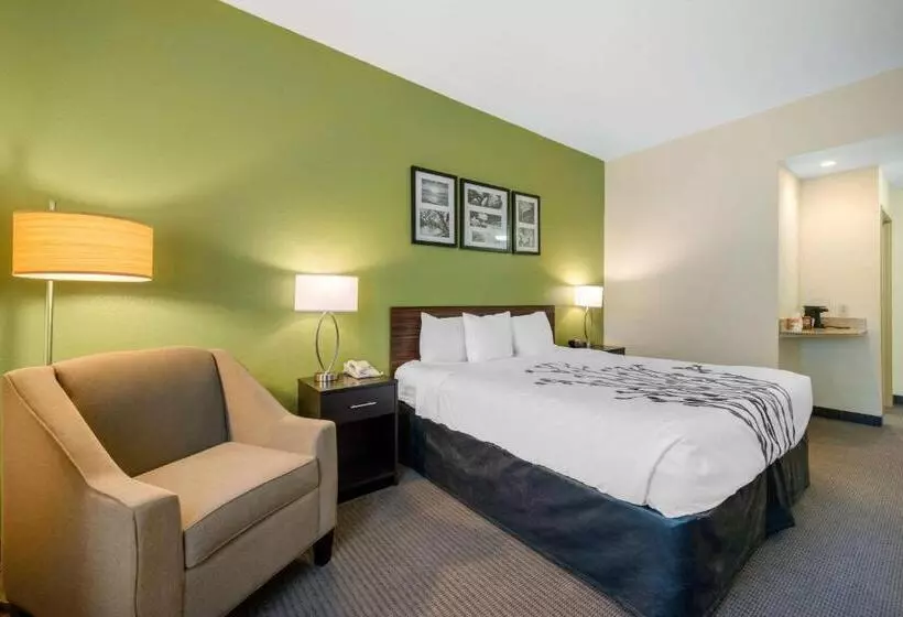 キングサイズベッドのスタンダードルーム, Sleep Inn & Suites Port Charlottepunta Gorda