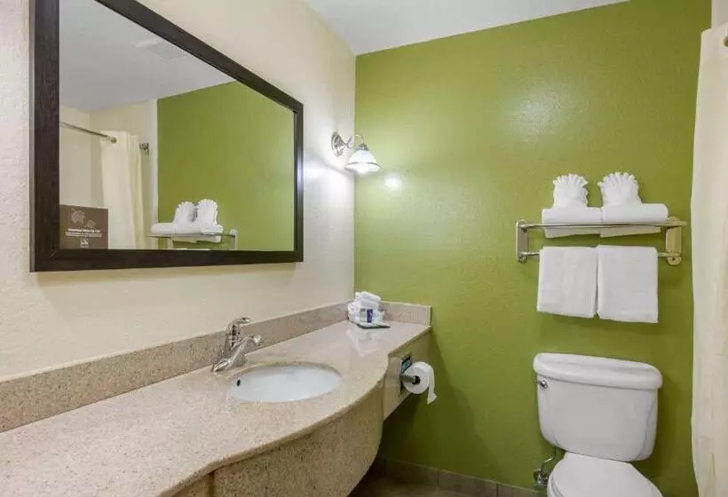 スタンダードルーム, Sleep Inn & Suites Port Charlottepunta Gorda