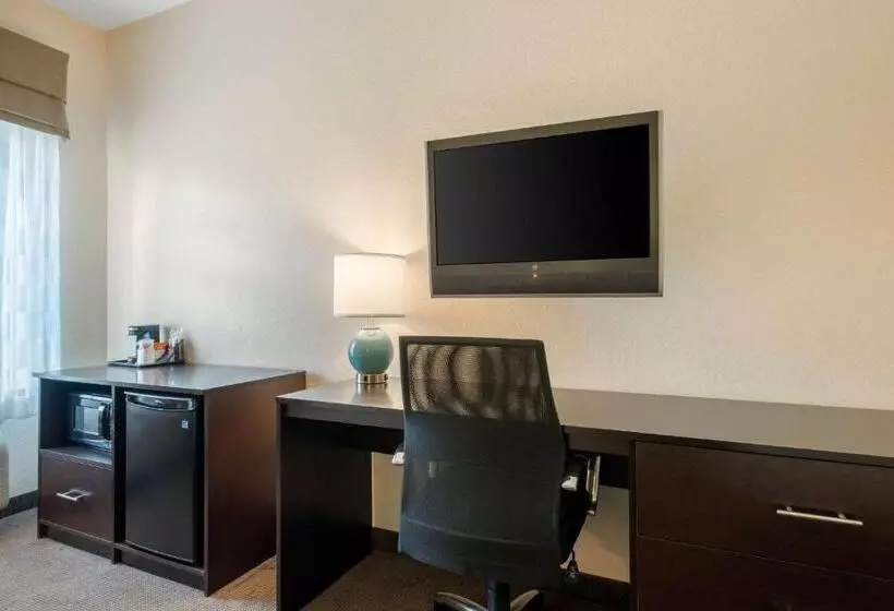 スタンダードルーム, Sleep Inn & Suites Port Charlottepunta Gorda
