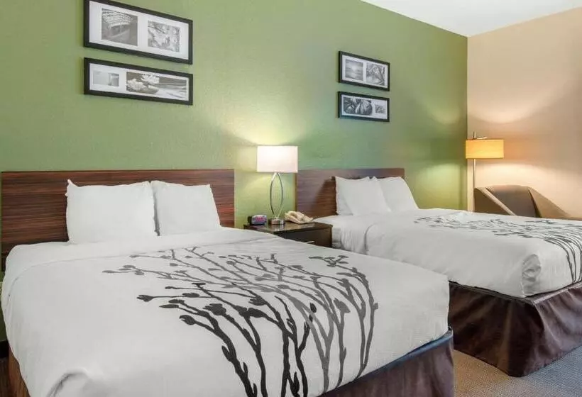 スタンダードルーム, Sleep Inn & Suites Port Charlottepunta Gorda