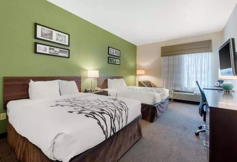 スタンダードルーム, Sleep Inn & Suites Port Charlottepunta Gorda