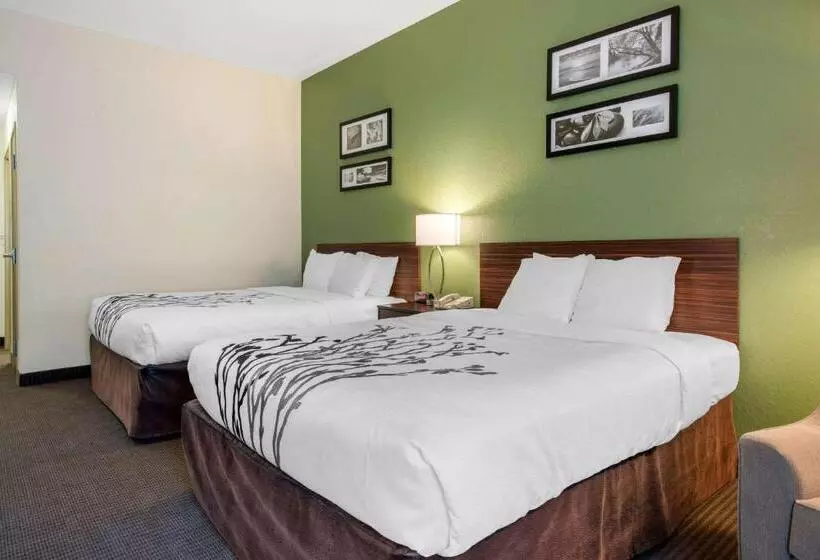 身障者適用スタンダードルーム, Sleep Inn & Suites Port Charlottepunta Gorda