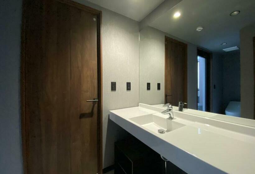 行政套房, Randor Hotel Namba Osaka Suites