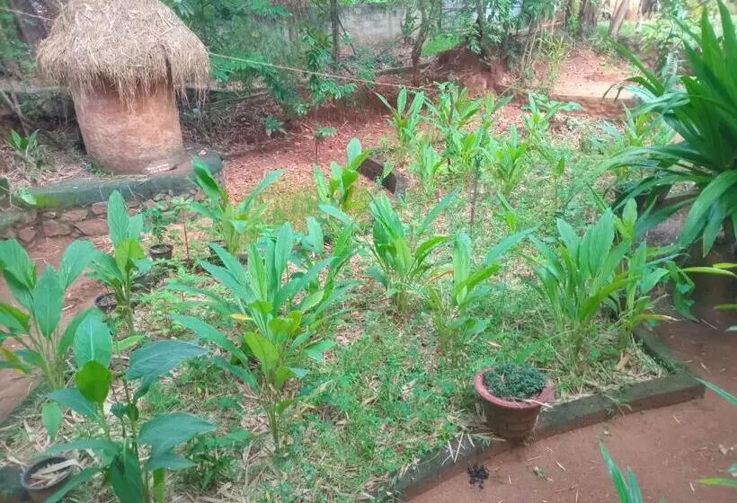 اتاق لوکس با بالکن, Green Park Safari House & Eco Tree House