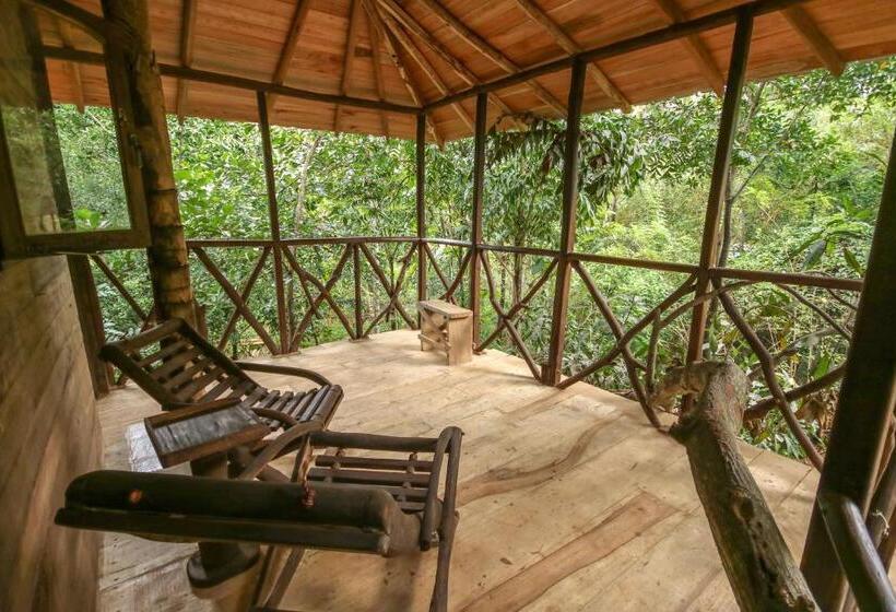 Дом 1 Спальня, Green Park Safari House & Eco Tree House