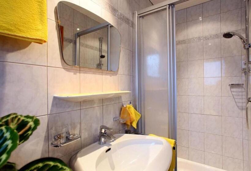 标准间, Baumgartnerhof