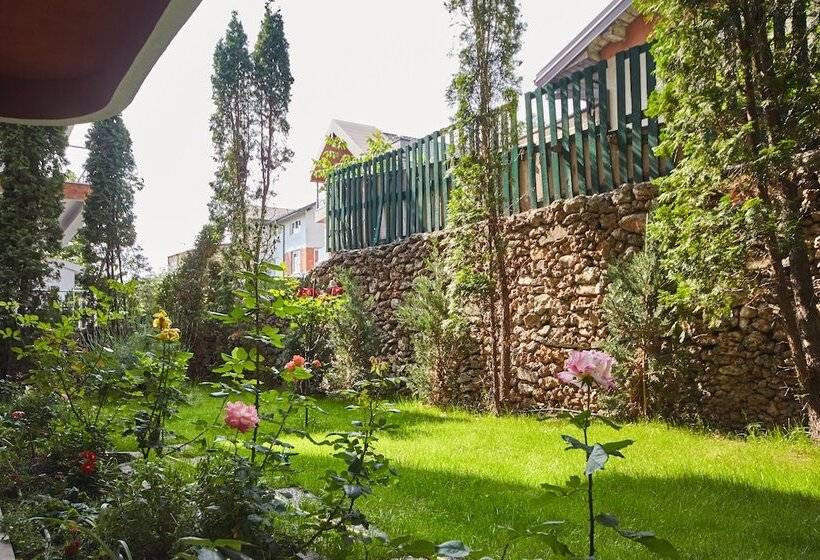 اتاق اکونومی, Leonardo