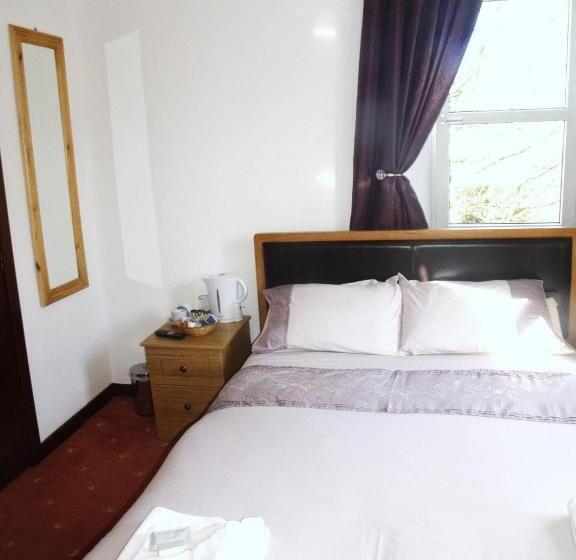 Номер Стандарт, The Brown Trout