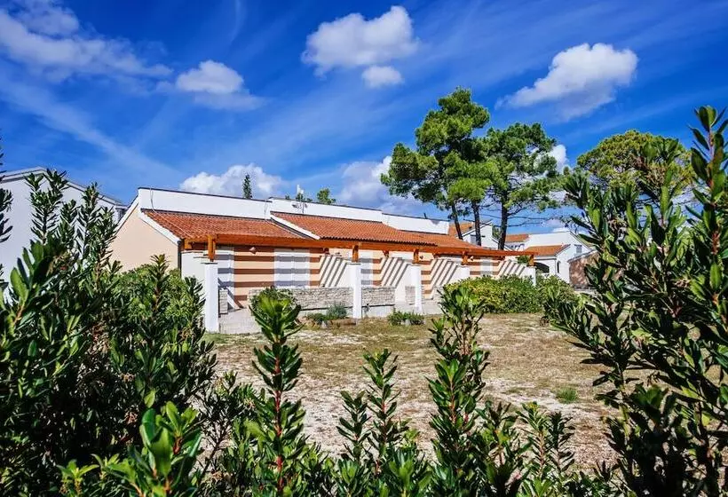 １ベッドルームのコンフォーとアパートメント, Zaton Holiday Resort