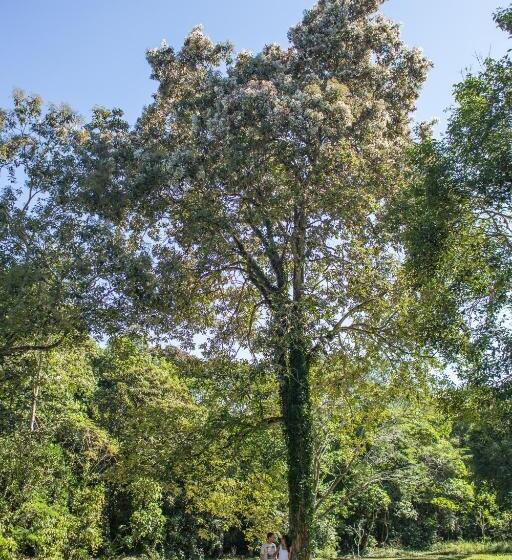 基本三人间, Iguassu Eco Hostel   Iguassuecohostel   Eco Suítes