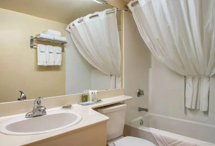 سوئیت با تخت بزرگ, Travelodge Suites By Wyndham Regina Eastgate Bay