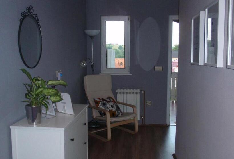 غرفة قياسية, House Zupan