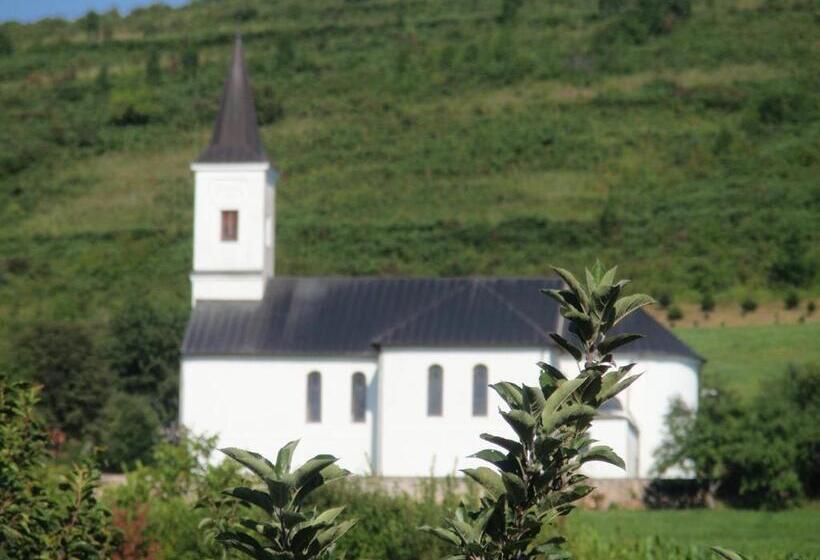 غرفة قياسية, House Zupan