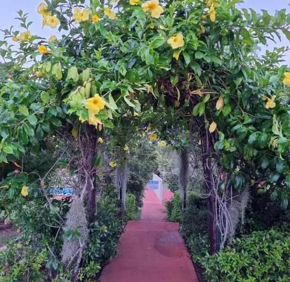 اتاق استاندارد, Benaraby Hilltop Motorinn