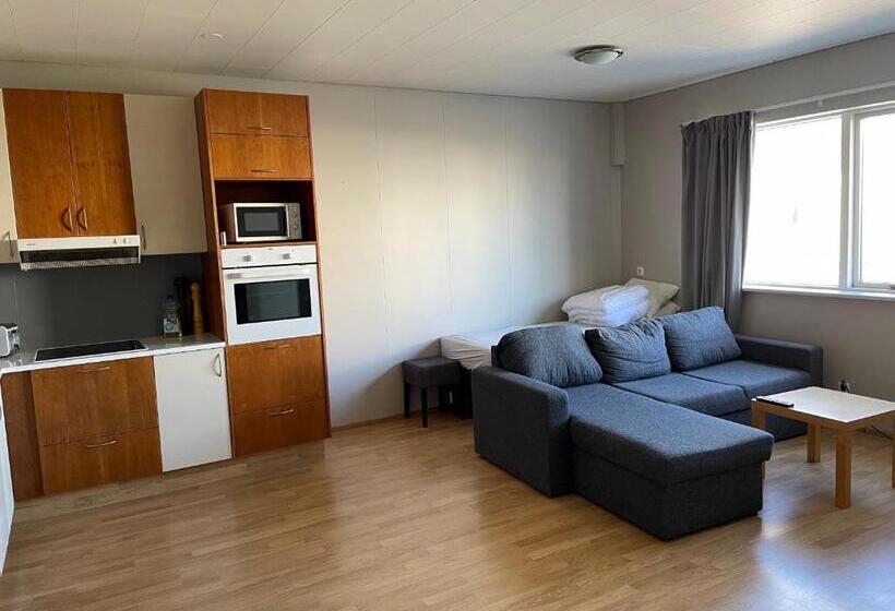 آپارتمان 1 خوابه همکف, Stöð Guesthouse And Apartments