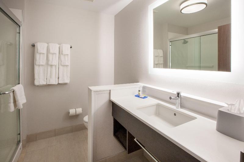 身障者適用キングサイズベッドルーム, Holiday Inn Express & Suites   El Paso North, An Ihg