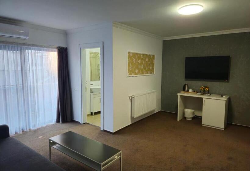 Apartament 1 Dormitori amb Balcó, Ilinca