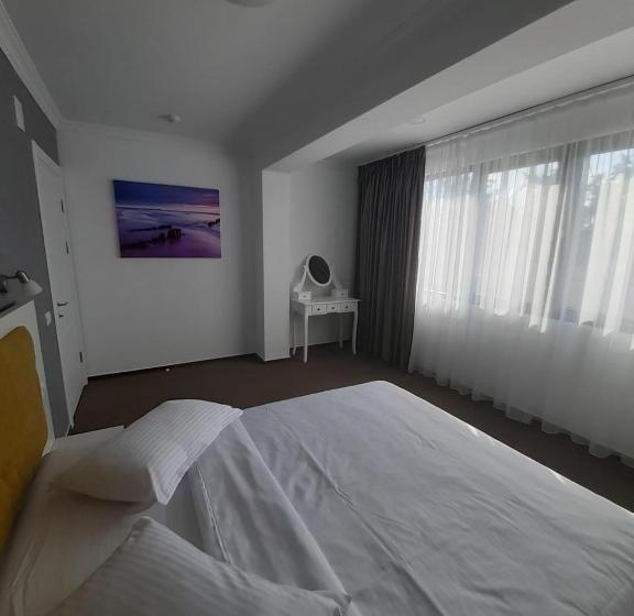 Apartament 1 Dormitori amb Balcó, Ilinca