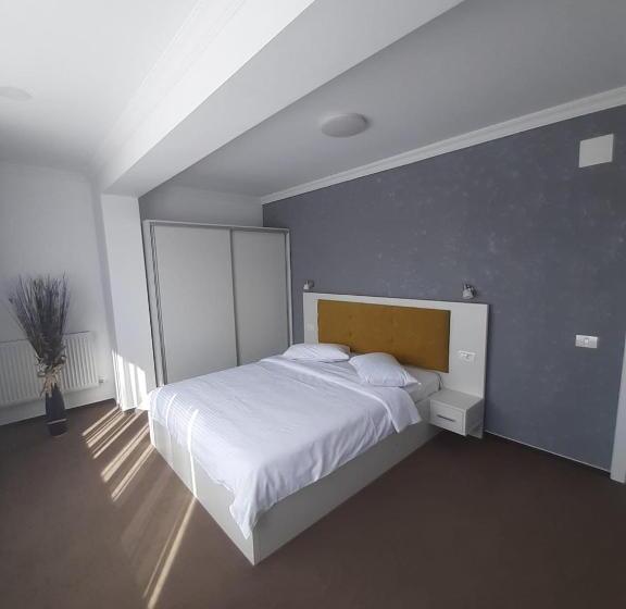 Apartament 1 Dormitori amb Balcó, Ilinca