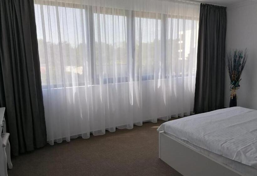 Apartament 1 Dormitori amb Balcó, Ilinca