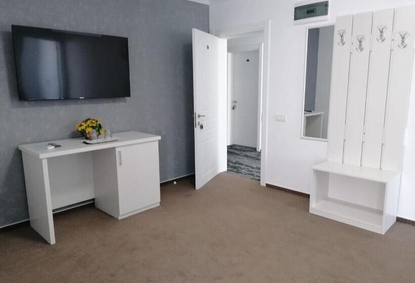 Apartament 1 Dormitori amb Balcó, Ilinca