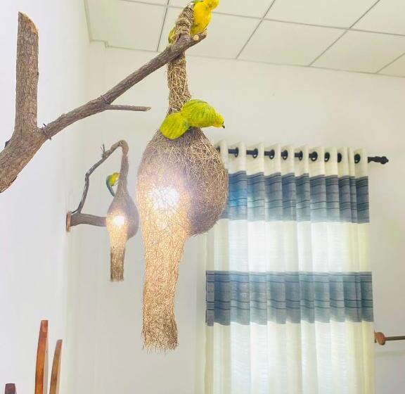 Номер Deluxe, Thambara Gueust House