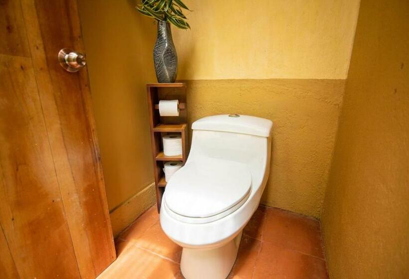 غرفة قياسية مطلّة علي البحر, Selva Armonia Immersive Jungle Resort