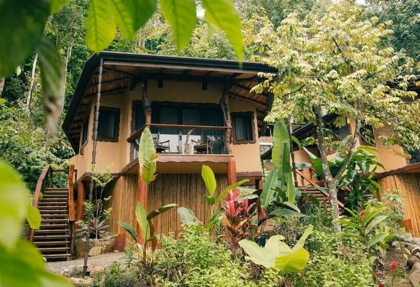 スタンダードバンガロー, Selva Armonia Immersive Jungle Resort