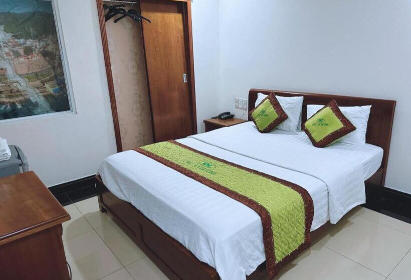 اتاق اکونومی, Phú An