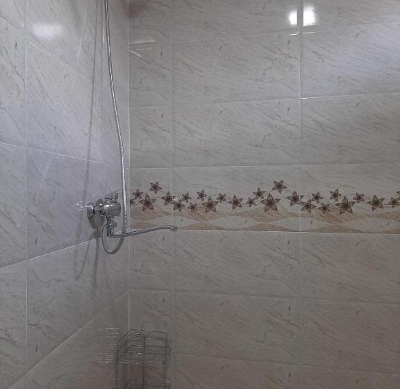 اتاق استاندارد سه نفره, Kizikis Kari