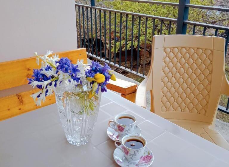 اتاق استاندارد سه نفره, Kizikis Kari