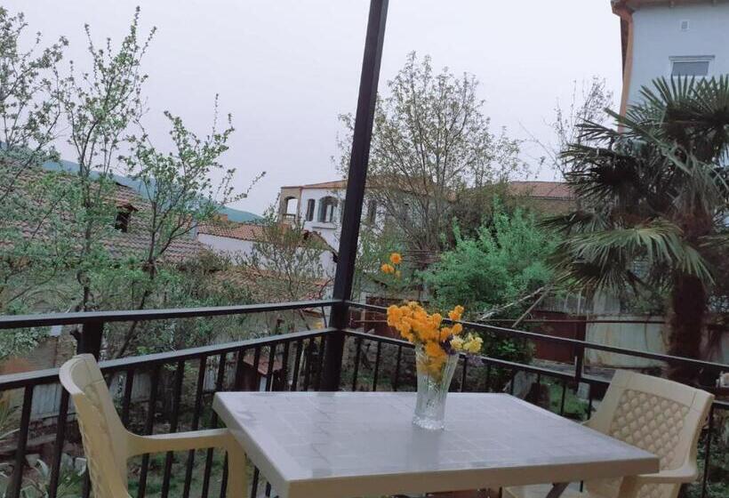 اتاق استاندارد سه نفره, Kizikis Kari