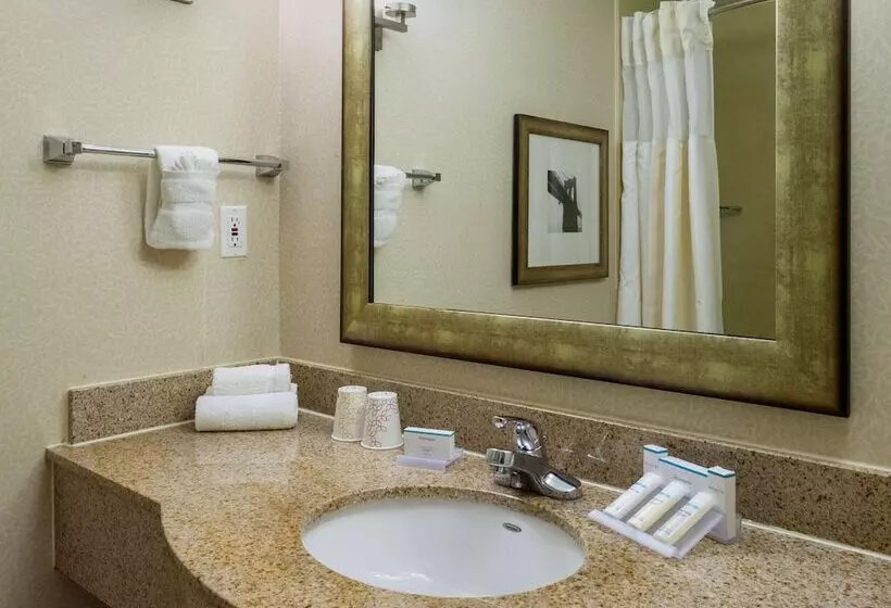 Standard-huone 2 Parivuodetta, Hilton Garden Inn New York/tribeca