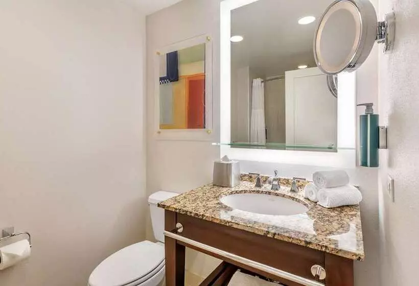 استودیو استاندارد با تخت کینگ, Hilton Grand Vacations Club Las Palmeras Orlando