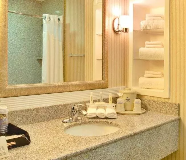 スタンダードルーム, Holiday Inn Express Hotel & Suites San Diego Otay Mesa By Ihg
