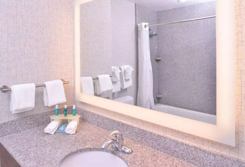 スイート, Holiday Inn Express Hotel & Suites San Diego Otay Mesa By Ihg
