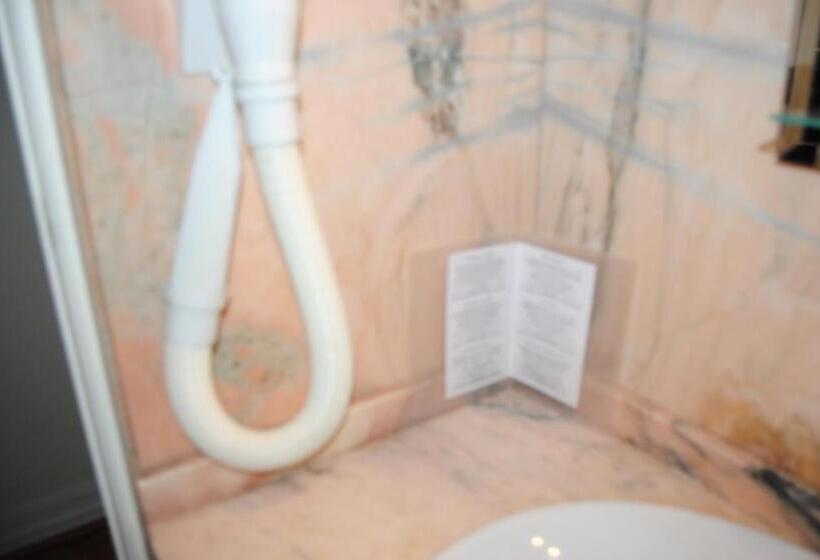 اتاق لوکس, Peninsular Porto