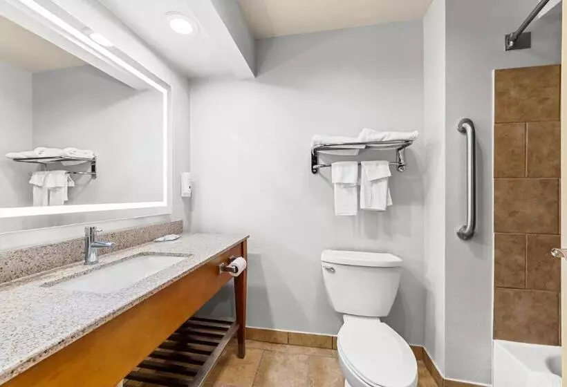 اتاق استاندارد با تخت بزرگ, Quality Inn & Suites Airport North - Stone Oak