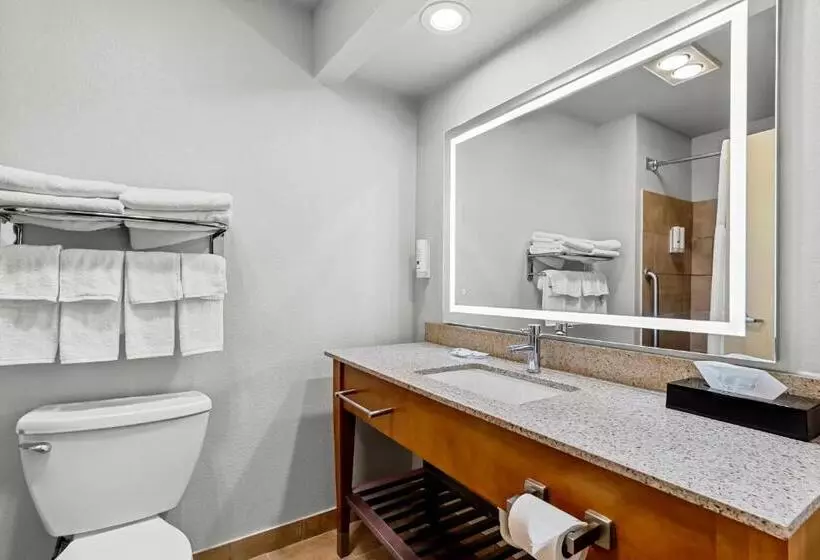 اتاق استاندارد با تخت بزرگ, Quality Inn & Suites Airport North - Stone Oak