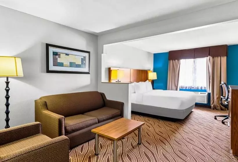 سوئیت با تخت بزرگ, Quality Inn & Suites Airport North - Stone Oak