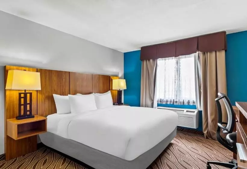 سوئیت با تخت بزرگ, Quality Inn & Suites Airport North - Stone Oak