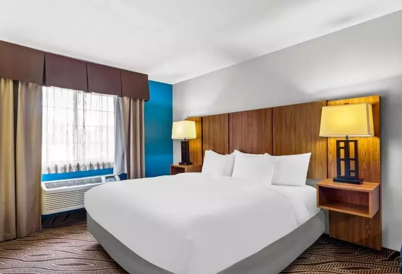 سوئیت با تخت بزرگ, Quality Inn & Suites Airport North - Stone Oak
