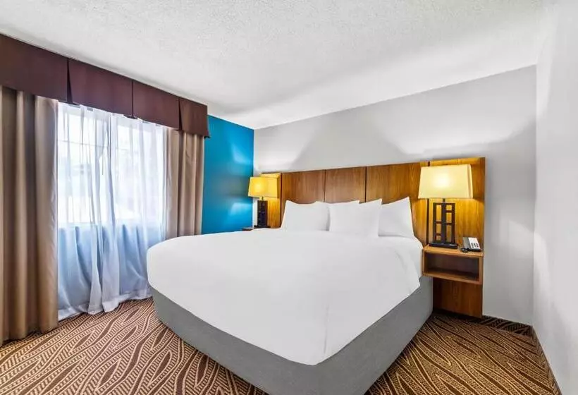 سوئیت با تخت بزرگ, Quality Inn & Suites Airport North - Stone Oak