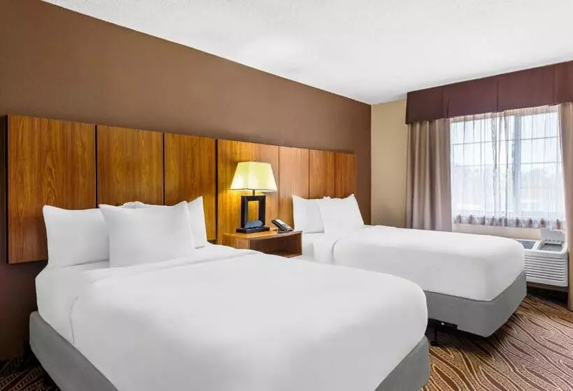 اتاق استاندارد چهار تخته, Quality Inn & Suites Airport North - Stone Oak