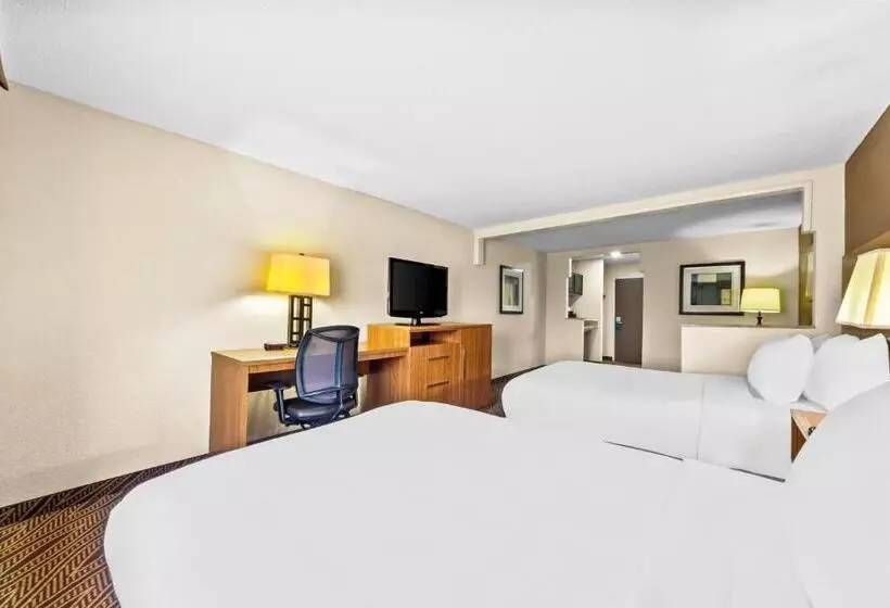اتاق استاندارد چهار تخته, Quality Inn & Suites Airport North - Stone Oak