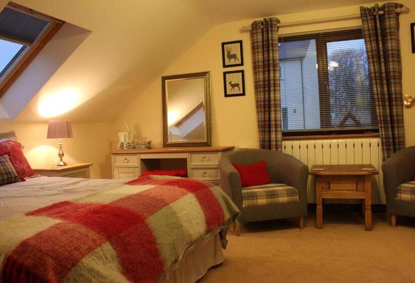 豪华房间, Ty Melin