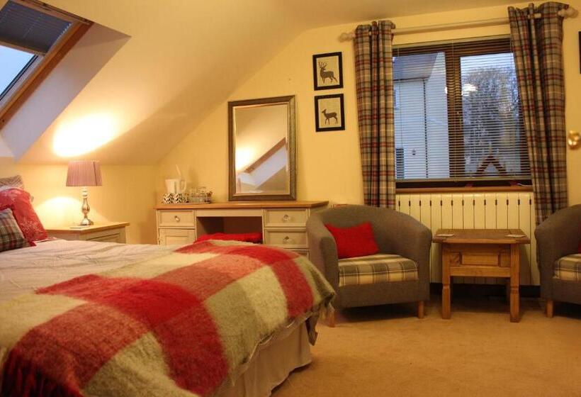 豪华房间, Ty Melin